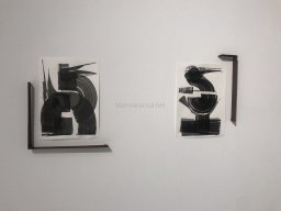 Exposición de Mutantes 2022